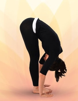 Surya namaskar Hastapadasana