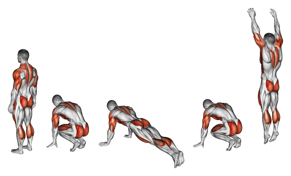 Burpees - Muscle strength target areas