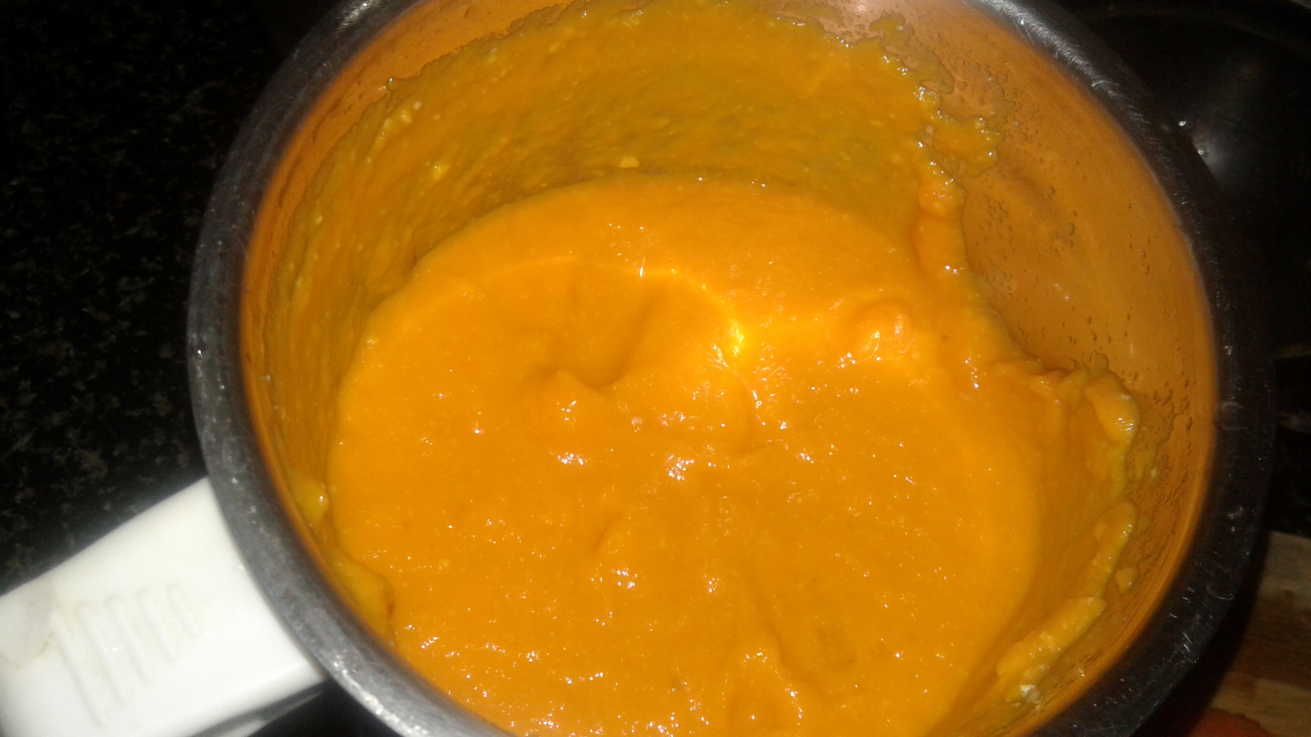 Carrot Kheer paste-1